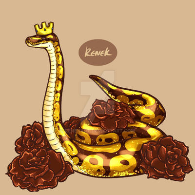 Royal Python Drawings Royal Ball Python by renekart on DeviantArt