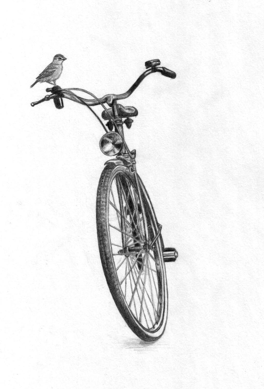 The bike and the bird