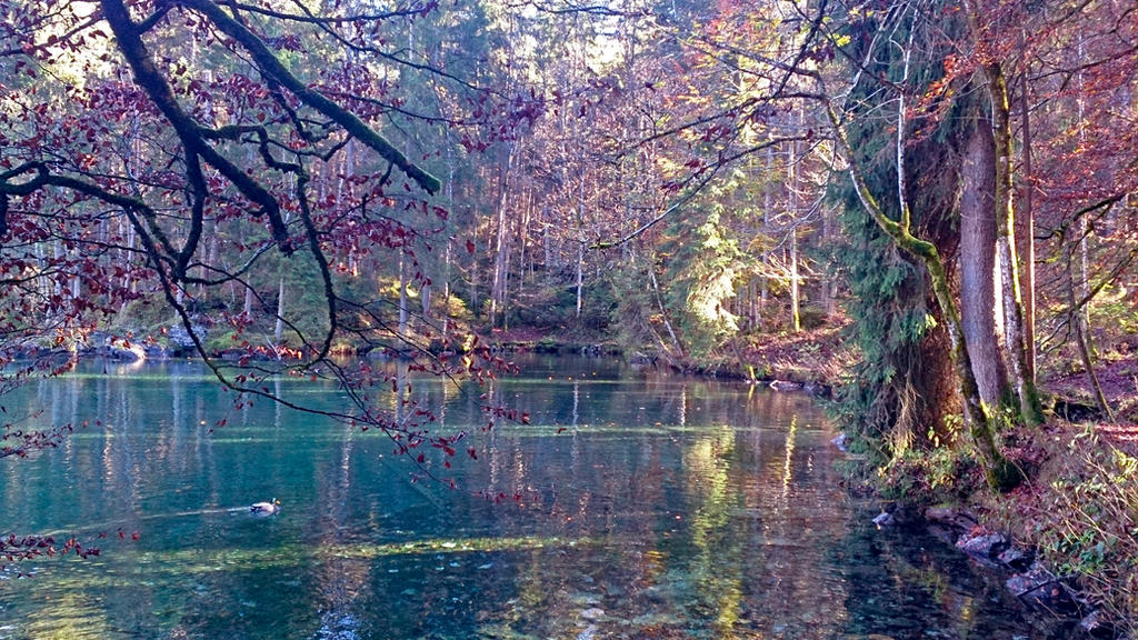 The secret lake in an automn forest by AlexLehner