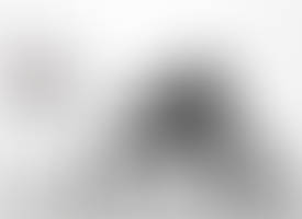 Fetchportfoliophoto.php