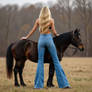 Paard / Horse 2