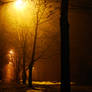 misty night 12