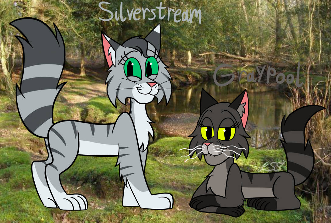 Warrior Cats - Silverstream and Graypool by LightningSparkleStar on ...