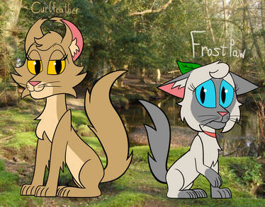 WC - Curlfeather and Frostpaw