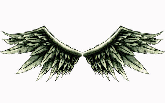 Wings Tattoo