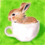 Bunny in a cup