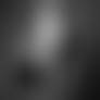 Fredau, composed, low resolution