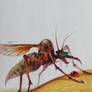 Mosquito
