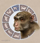 Year of the Monkey by Boban-Savic-Geto Year of the Monkey by Boban-Savic-Geto
