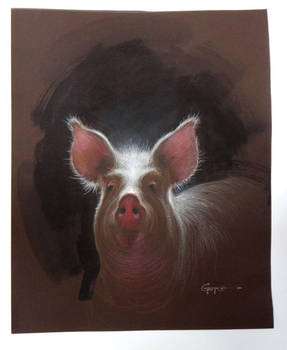 Pig