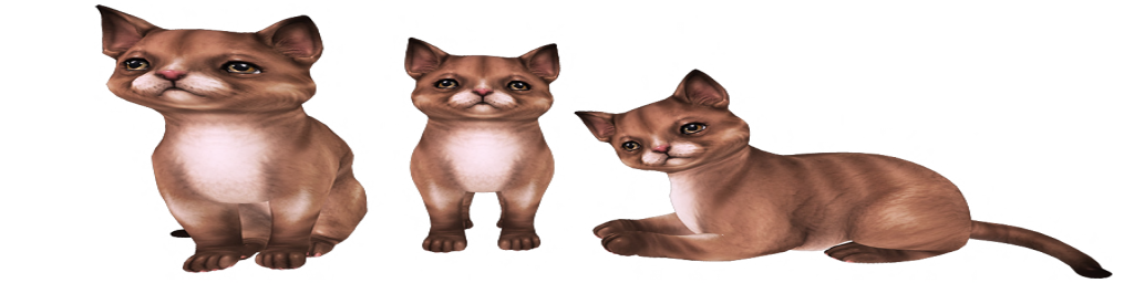 brown cats png