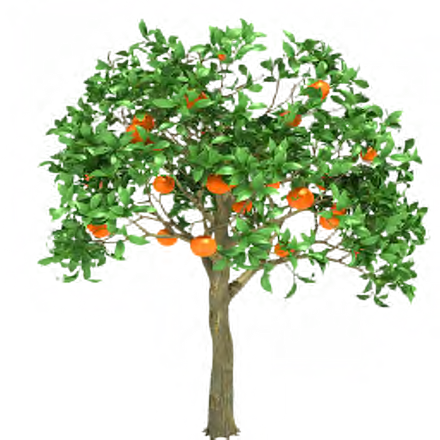 trans tree #35 by dementiaRunner on DeviantArt