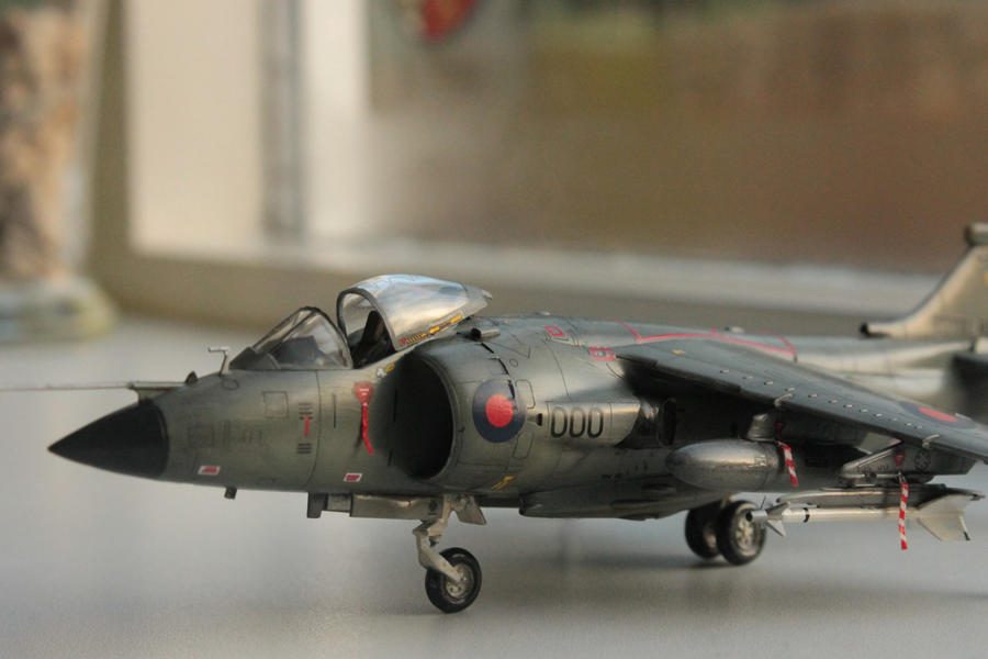 Sea Harrier FRS.1 I