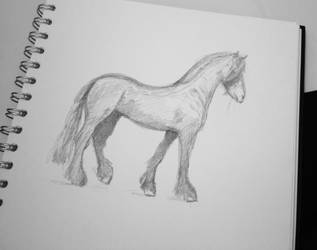 Day 33 - Horsey study