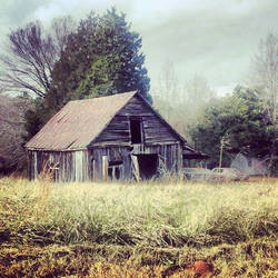 Old barns