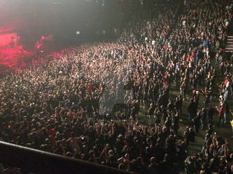 Concert Crowd 2