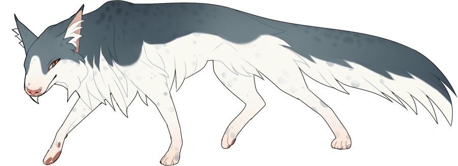 Lithe Anima Lithe and Fluffy by AkaPanuka on DeviantArt