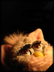 Furby