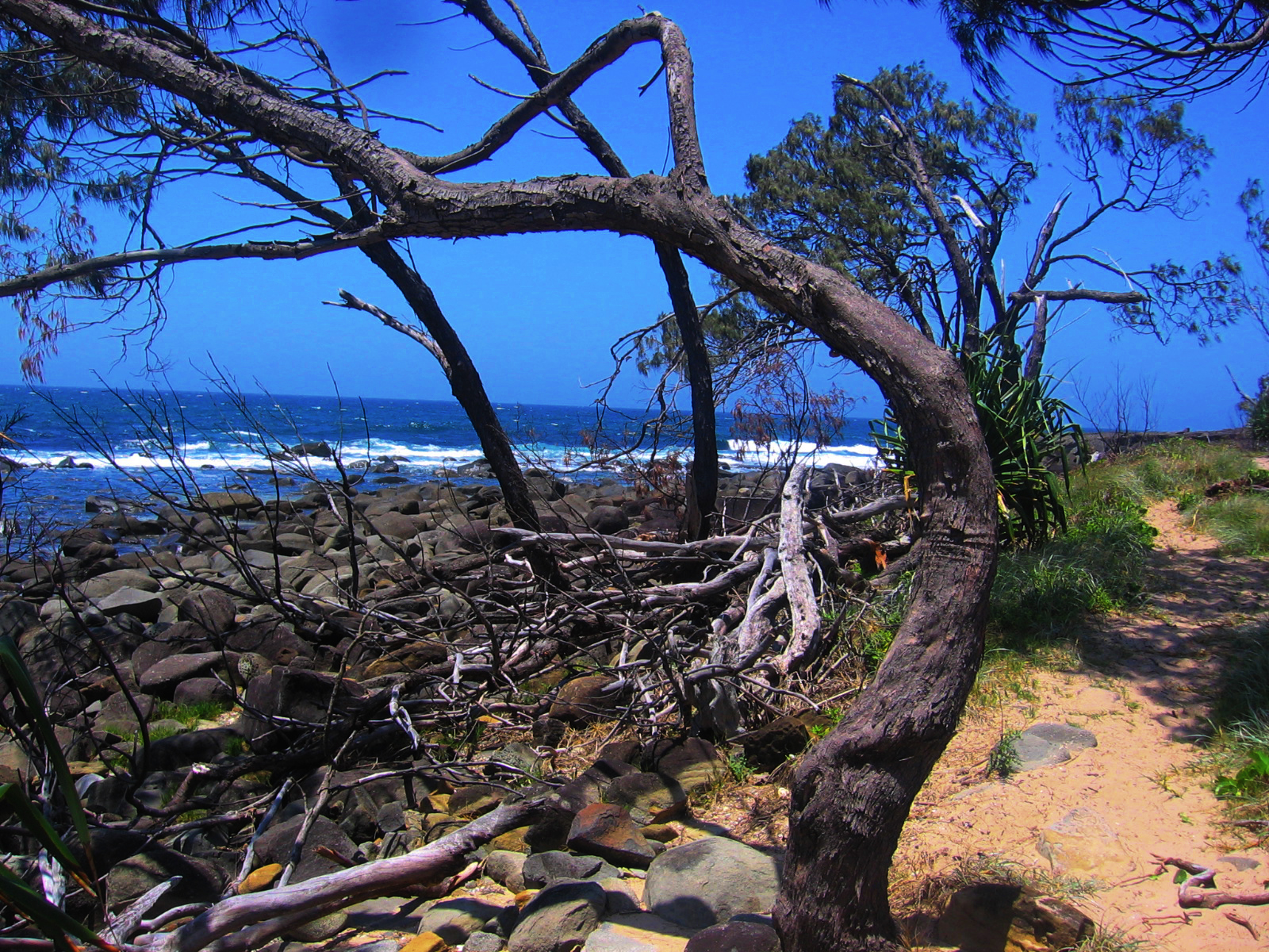 Angourie Head NSW