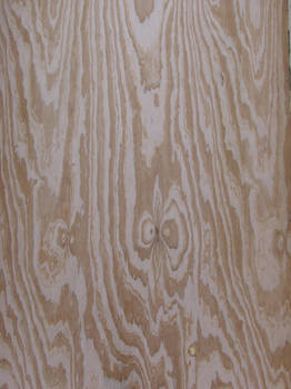 wall 16 - woodgrain