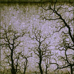 Weird texture by Insan-Stock