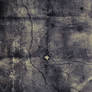 Paper texture 7