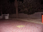 Park Background by Insan-Stock