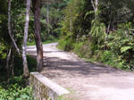 Way by Insan-Stock