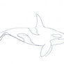 gif animated - orca