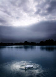 Southport Swan