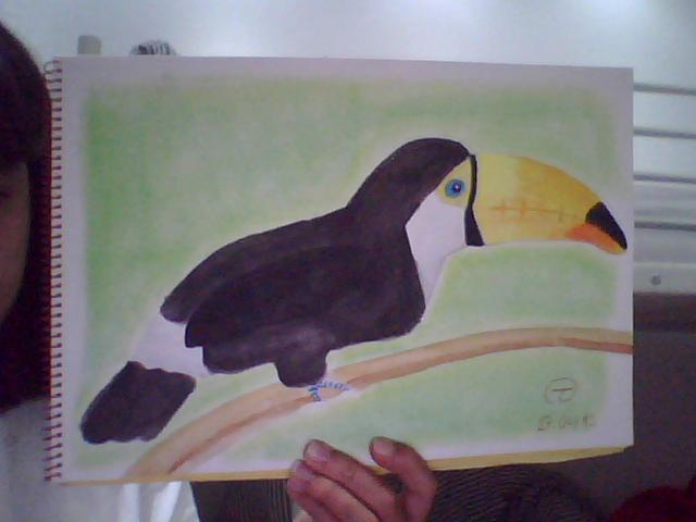 Dibujo 6-Tucan