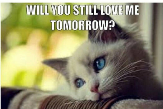 Will You Still Love Me Tomorrow?