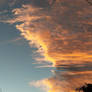 Contrasting Sky 1