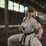 Hitomi in the Dojo