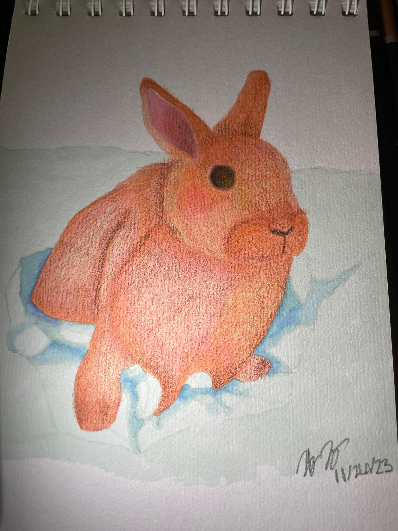 Rabbit in snow by Nostalgic-Bear on DeviantArt
