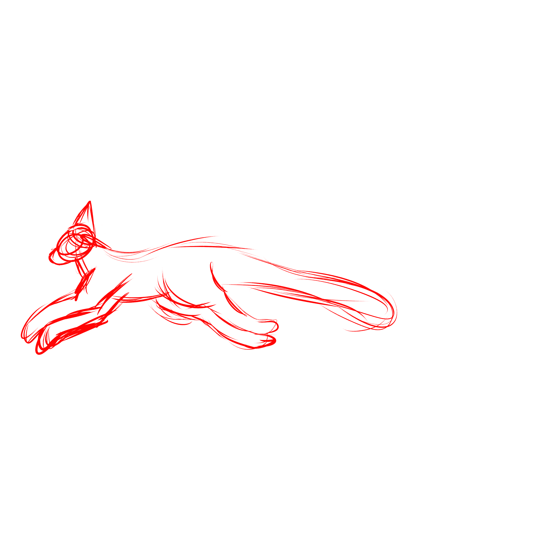 Run Cycle Guide Cat Warrior Cat Run Cycle Coloring Contest! – WAMDYW