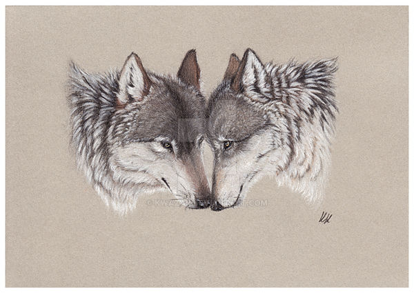 Wolves