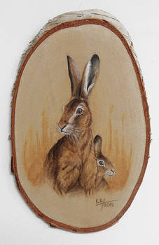 Hares