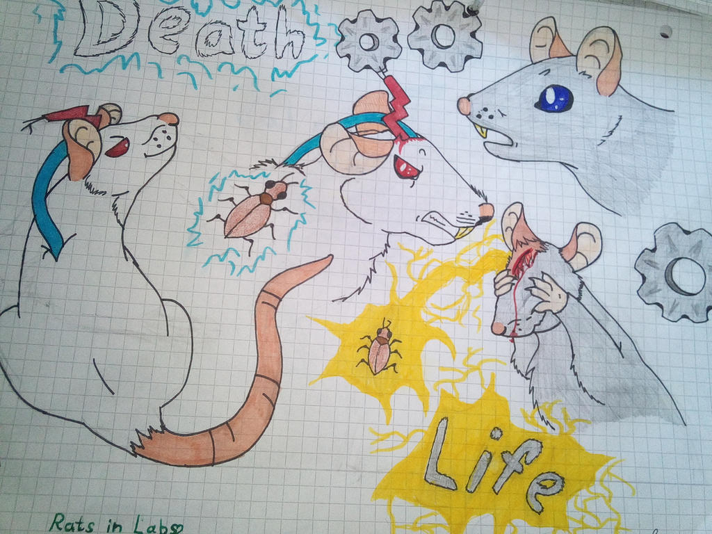 Lab Rat Deviantart rats in a lab fanart by Weidenherz on DeviantArt