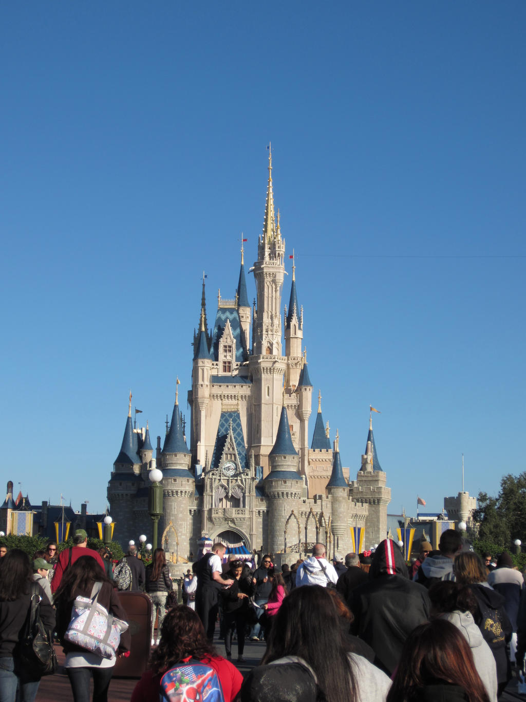 Cinderella's castle