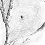 halloween spider