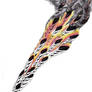 feathers n' flames