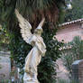 Graveyard Angel I