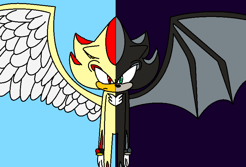 Angel Shadow and Demon Mephiles