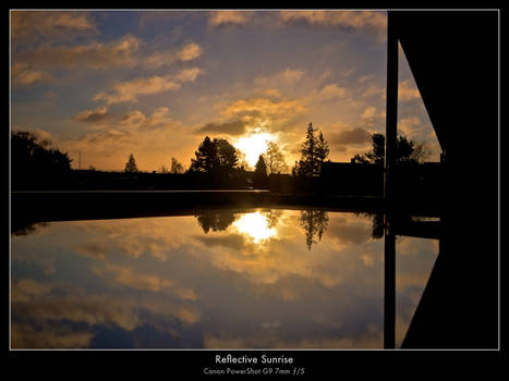Reflective Sunrise