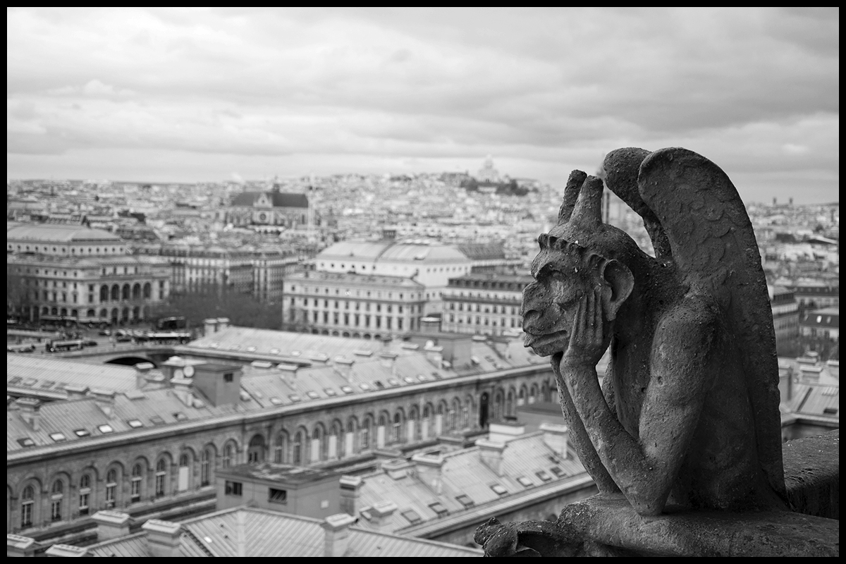 Notre Dame Gargoyle