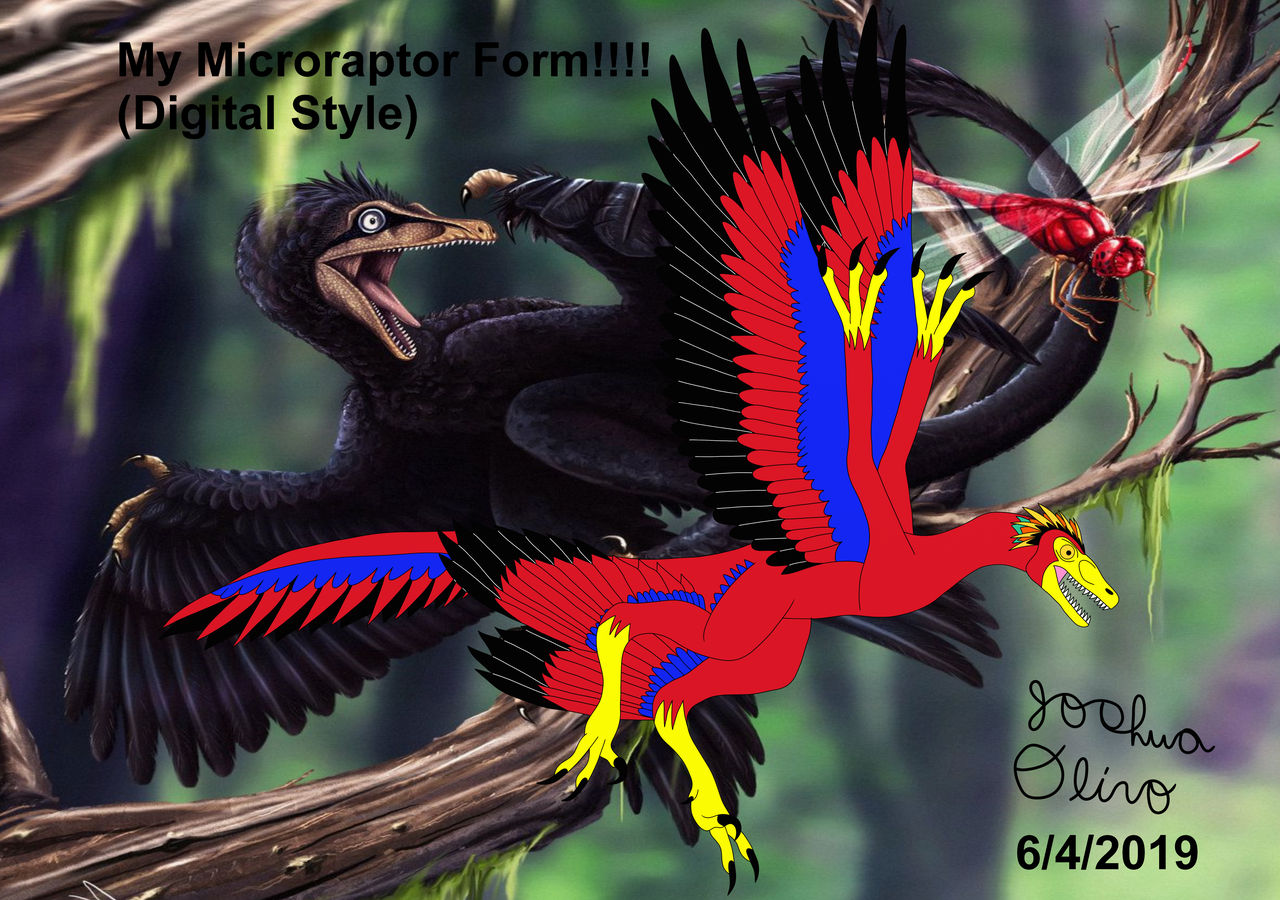 My Microraptor Form!!!! (Digital Style) by DJDinoJosh on DeviantArt