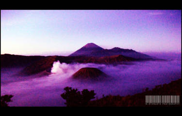 bromo