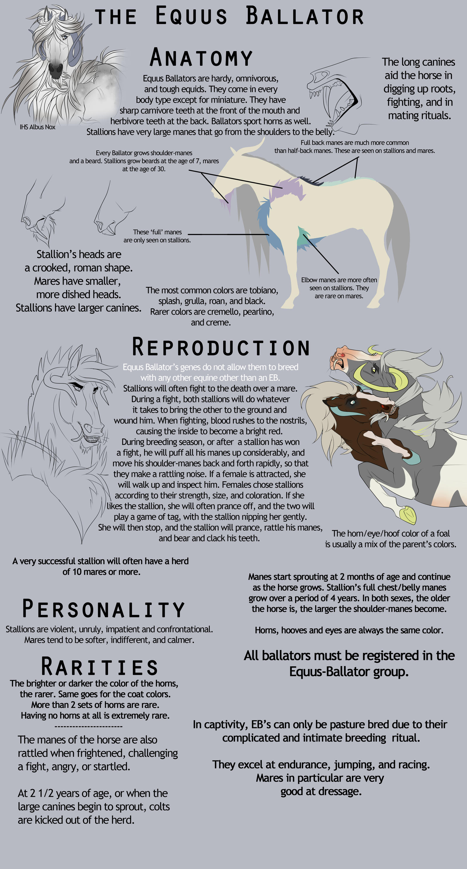 Updated: Equus Ballator Breedsheet