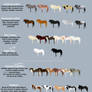 Equus Ballator Phenotypes
